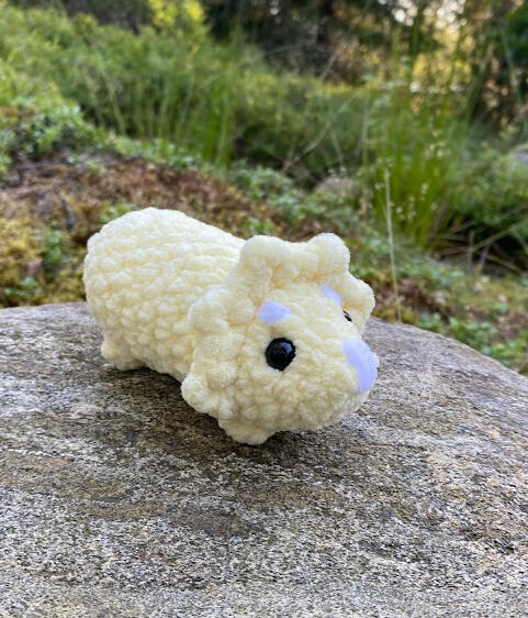 Mini Triceratops