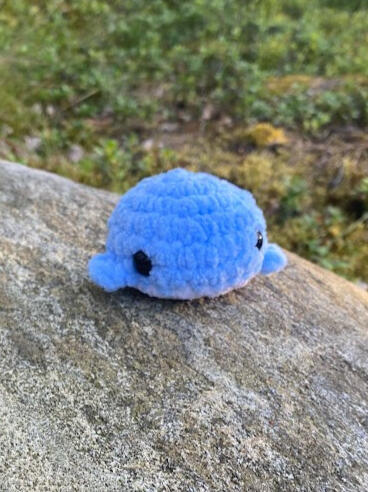 Mini Whale