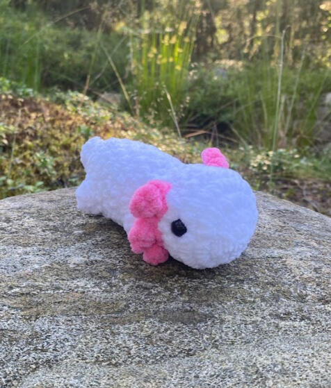 Axolotls