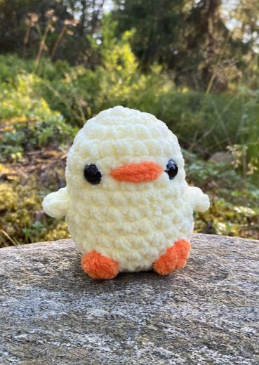 Ducks