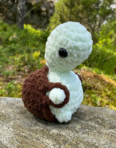 Cheeky Turtle - Front